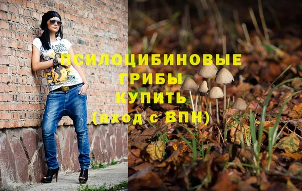 СК Алексеевка