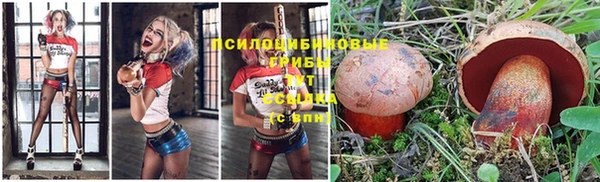 альфа пвп Абаза