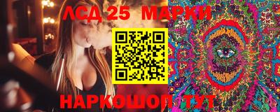спиды Жуковский