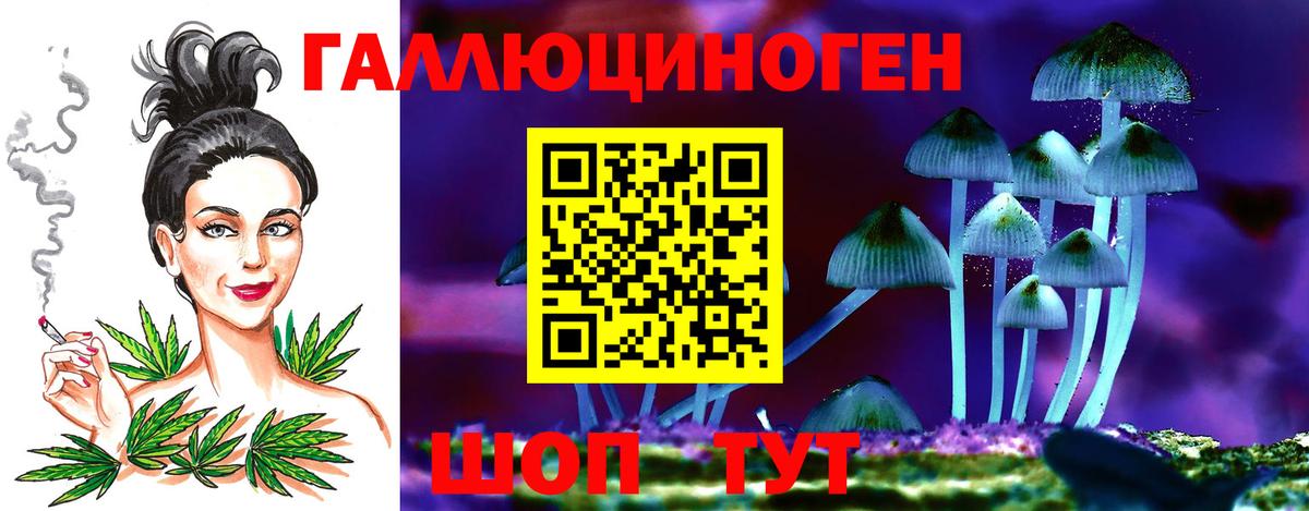 Псилоцибиновые грибы Cubensis  Вход с VPN  Лысьва 